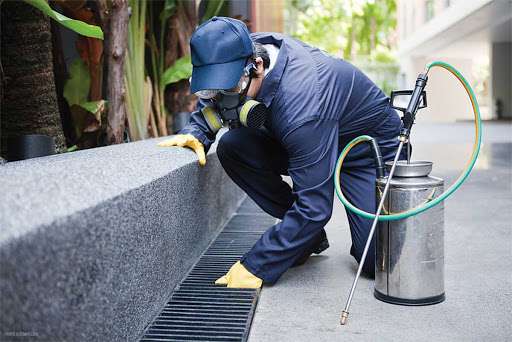 Logótipo Pest Control Service Algarve - Pest Guard
